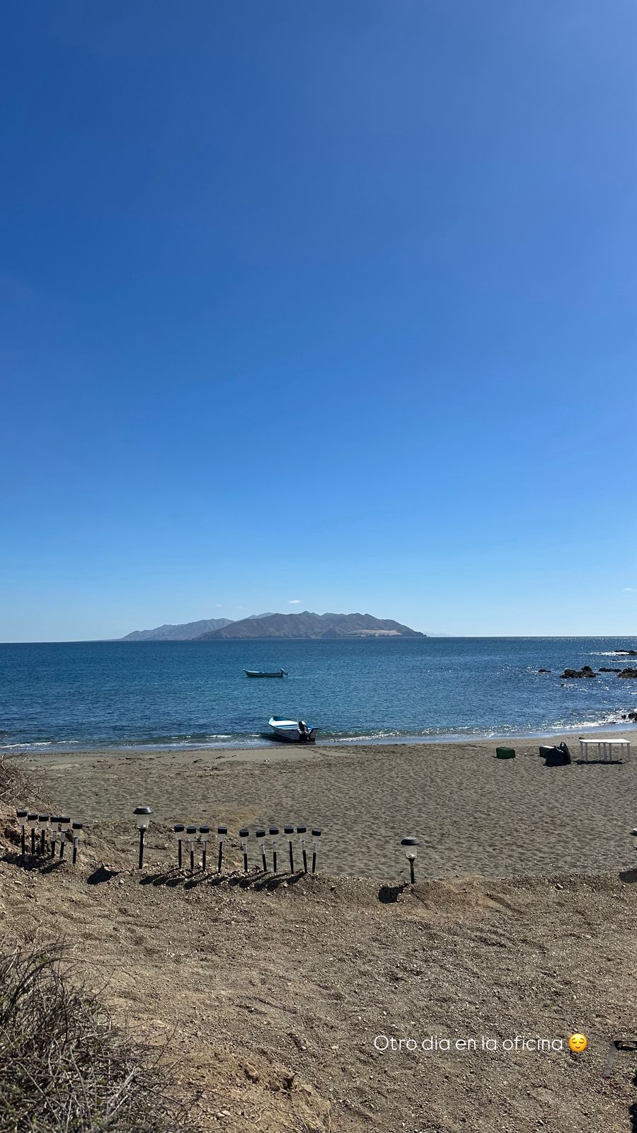 Kayaking through mangroves